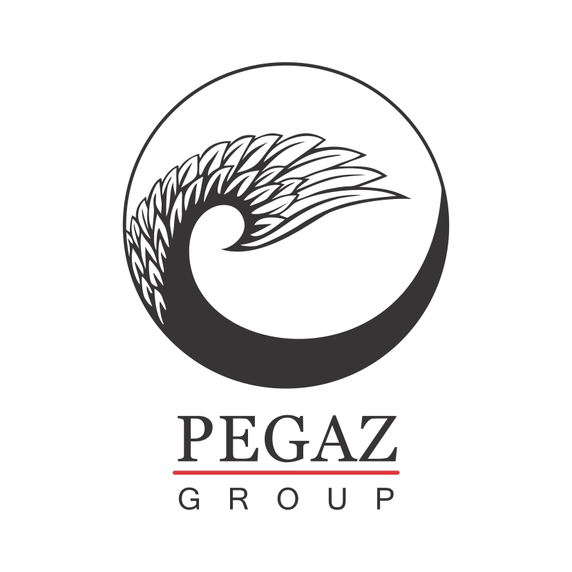 Logo PEGAZ GROUP SPÓŁKA Z OGRANICZONĄ ODPOWIEDZIALNOŚCIĄ