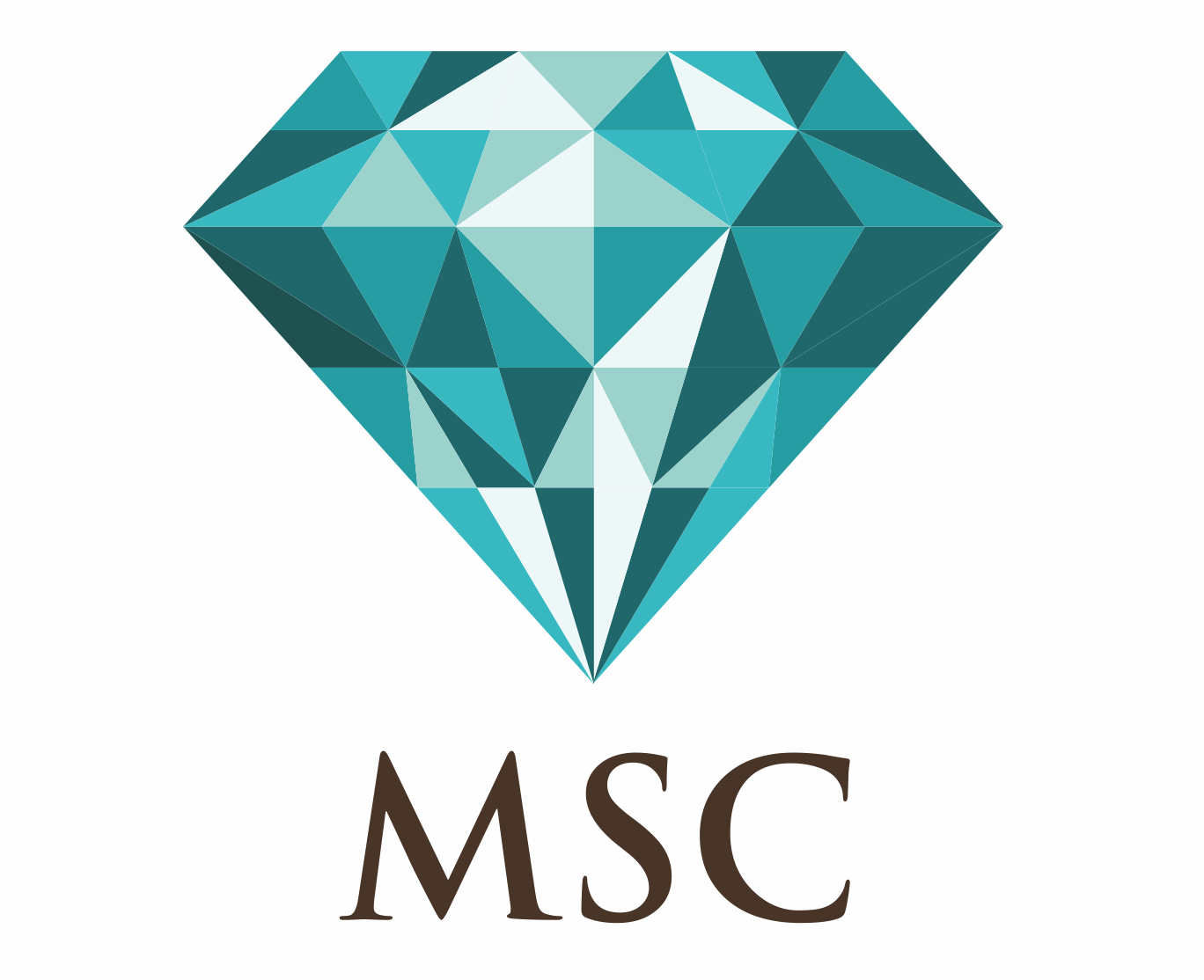 Logo MSC Sp. z o.o.
