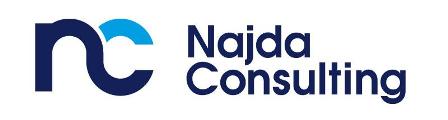 Logo Najda Consulting Andrzej Najda