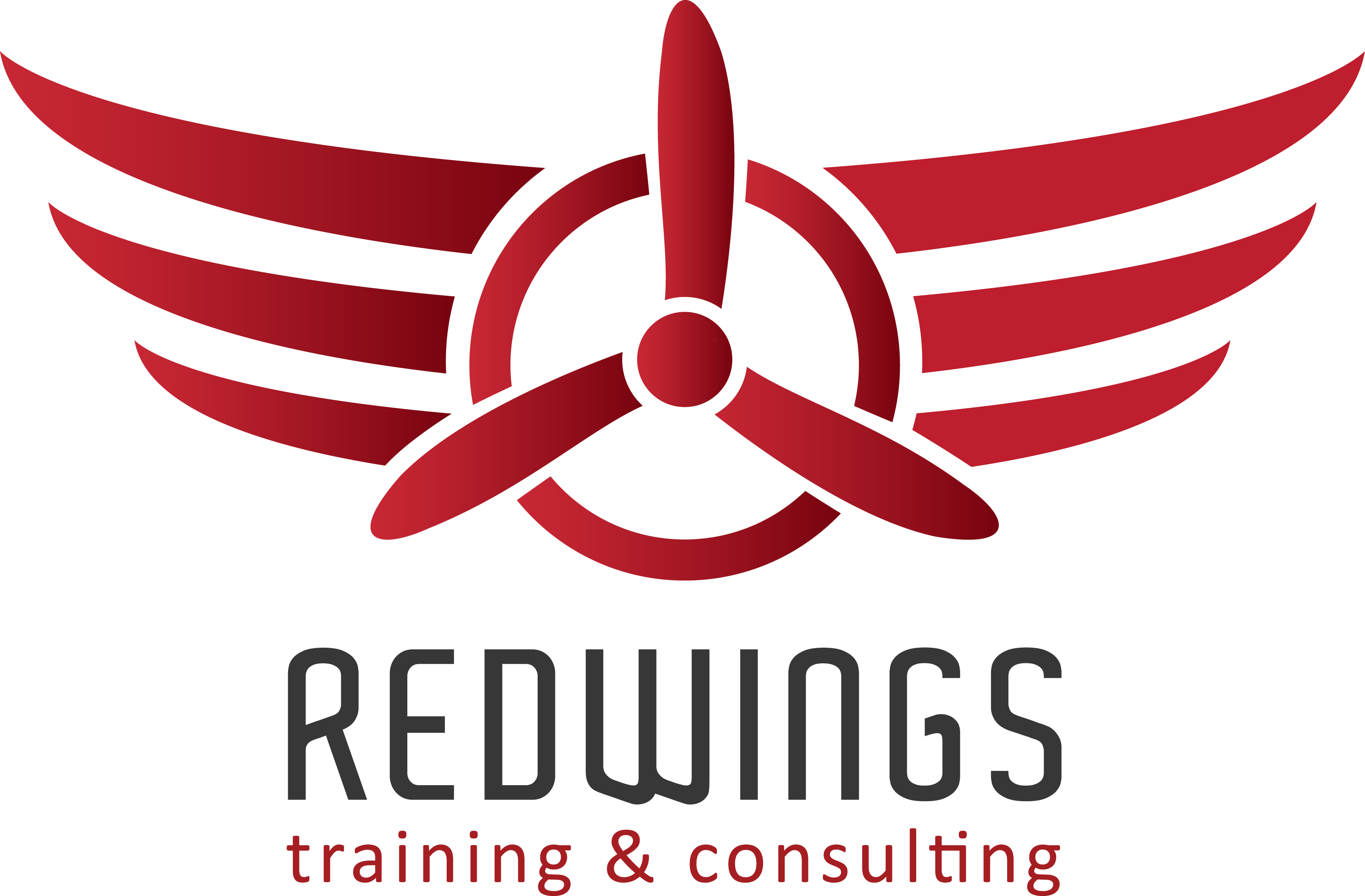 Logo REDWINGS Spółka z ograniczoną odpowiedzialnością