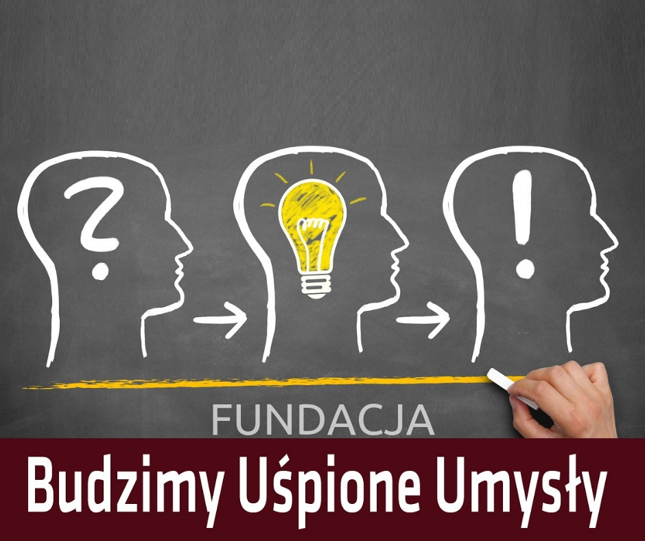 Logo FUNDACJA BUDZIMY UŚPIONE UMYSŁY