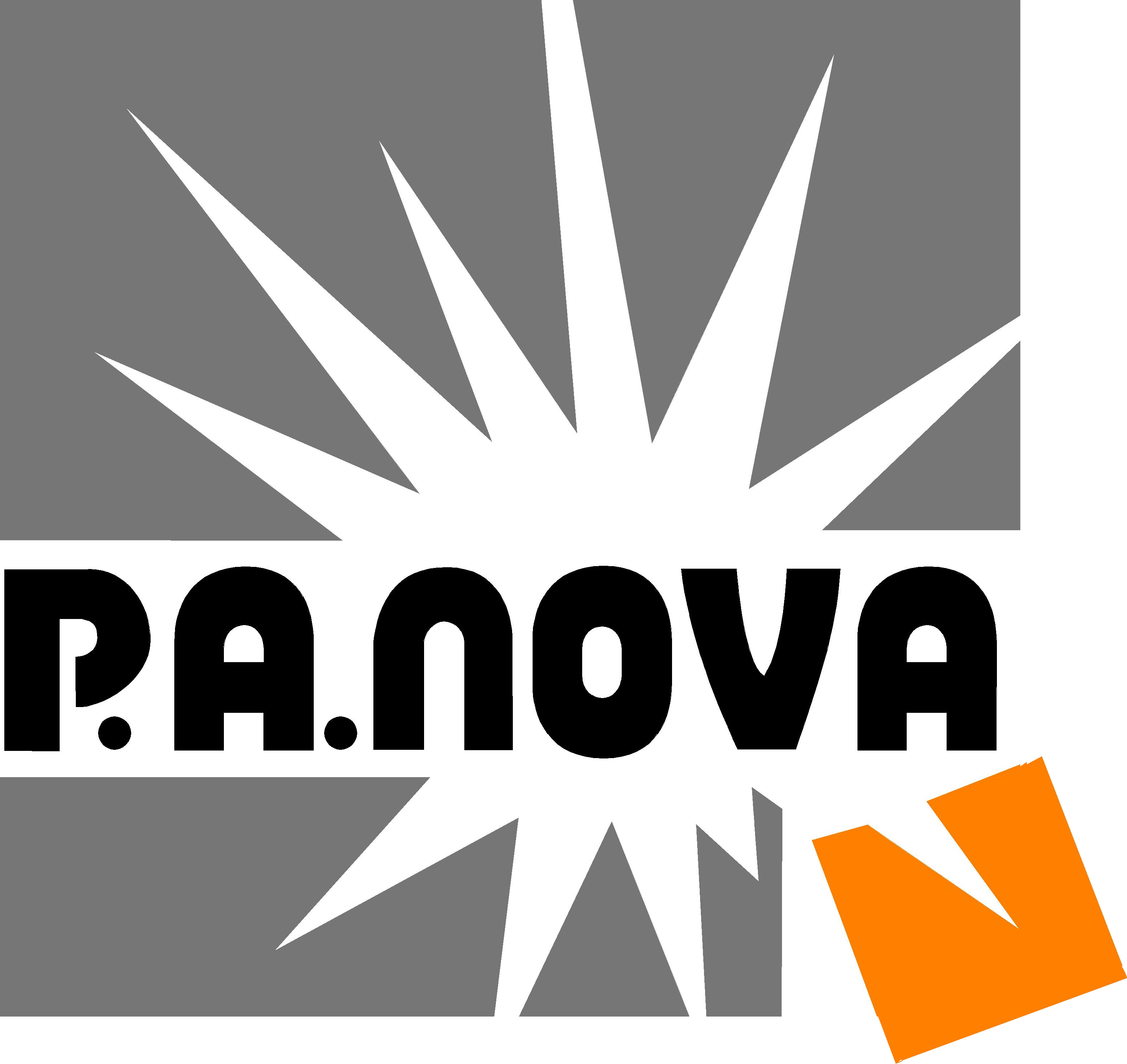Logo P.A. NOVA SPÓŁKA AKCYJNA