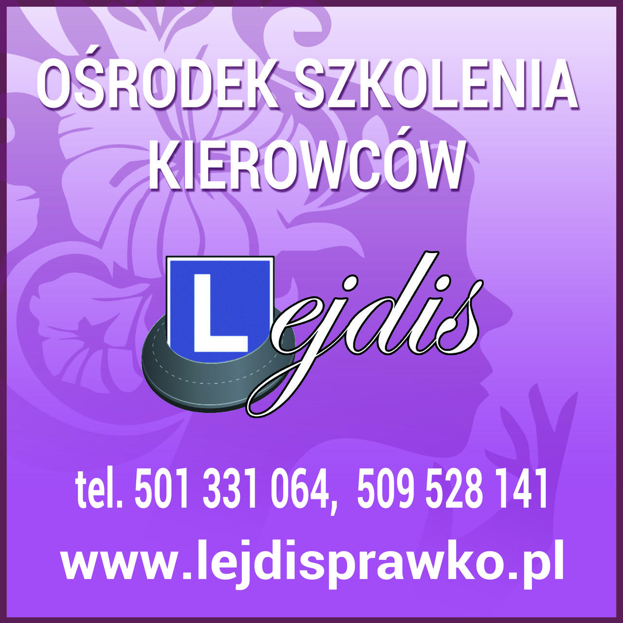 Logo Ośrodek Szkolenia Kierowców Lejdis sc Zofia Banaś Ewelina Ogonek