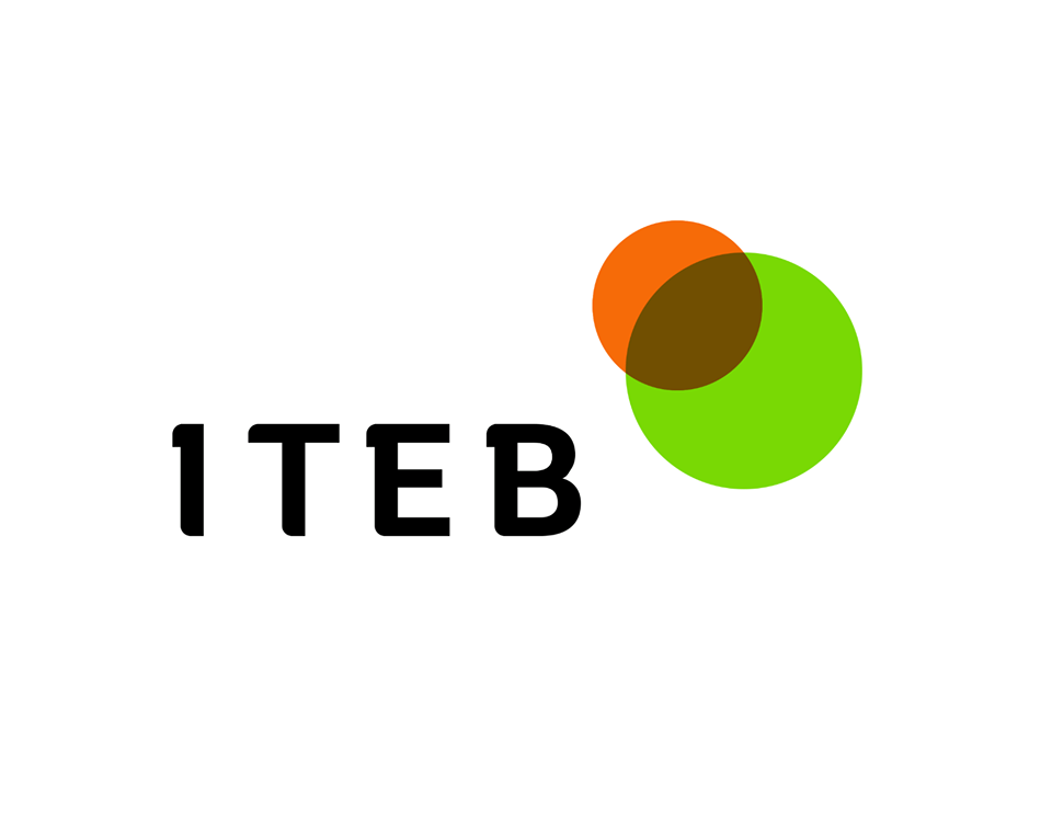 Logo ITEB Beata Mierzejewska