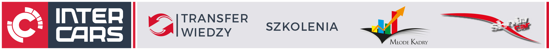 Logo INTER CARS SPÓŁKA AKCYJNA