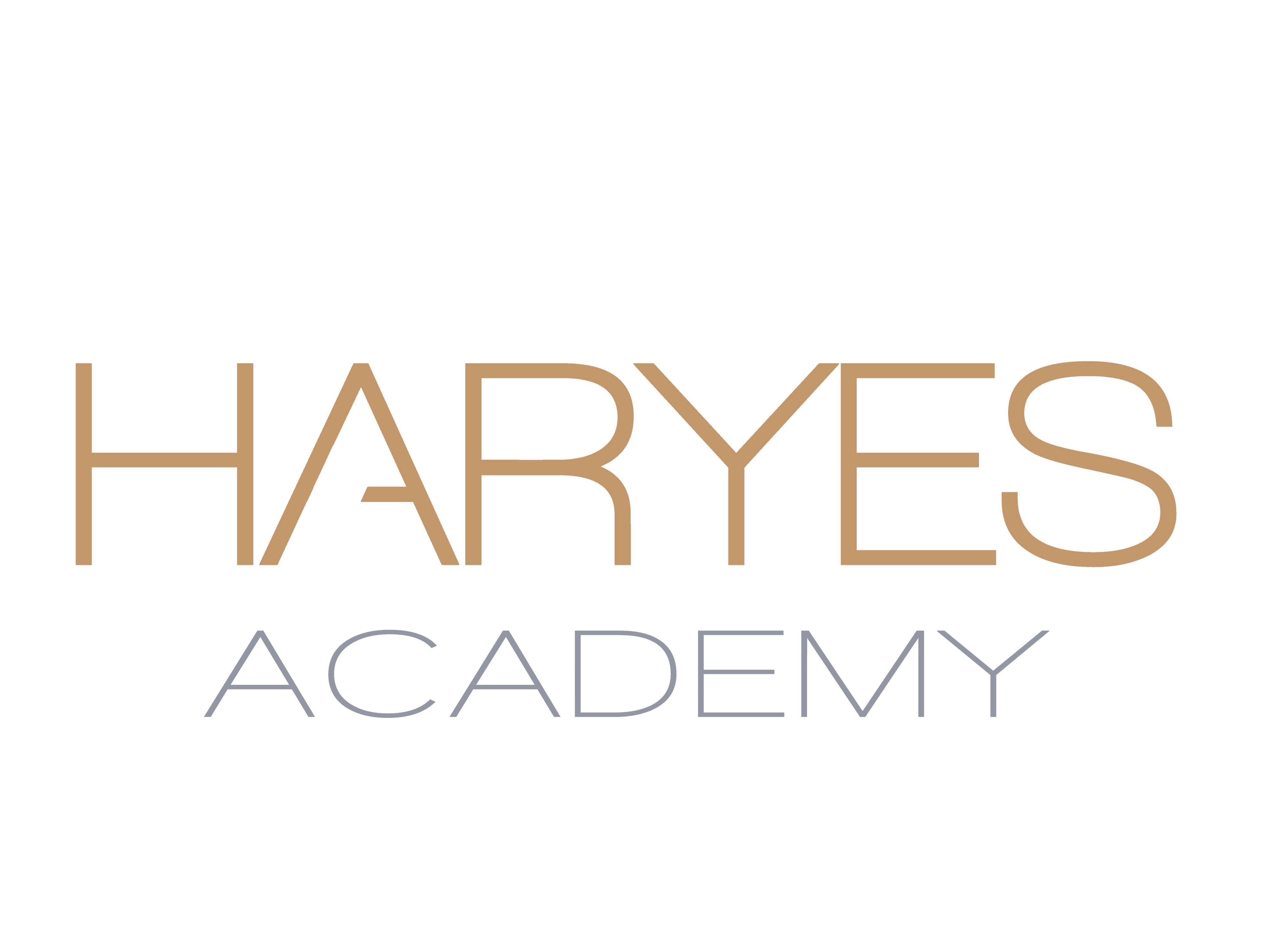 Logo HARYES Marek Harutyunyan