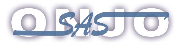 Logo KRYSTYNA KNAPIŃSKA OŚRODEK NAUKI JĘZYKÓW OBCYCH &#039;&#039;SAS&#039;&#039;