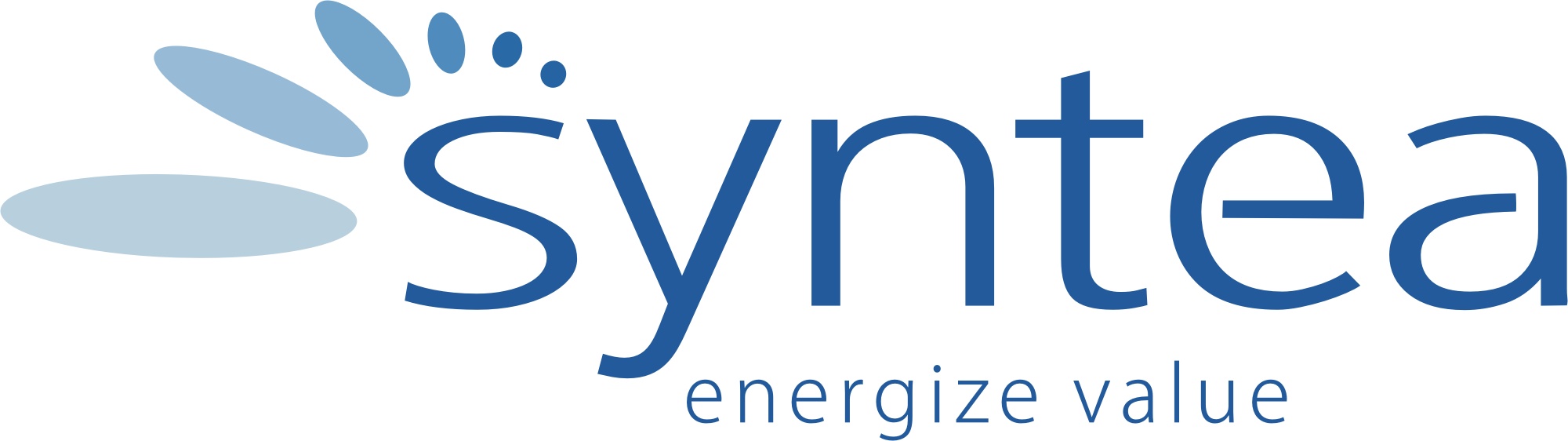 Logo SYNTEA SPÓŁKA AKCYJNA