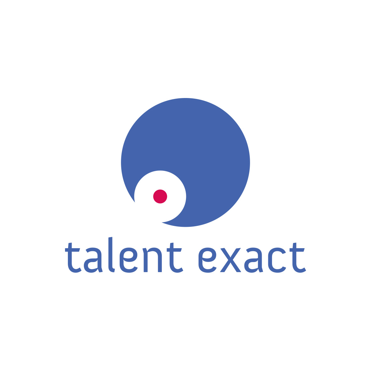 Logo &quot;TALENT EXACT SPÓŁKA Z OGRANICZONĄ ODPOWIEDZIALNOŚCIĄ&quot;