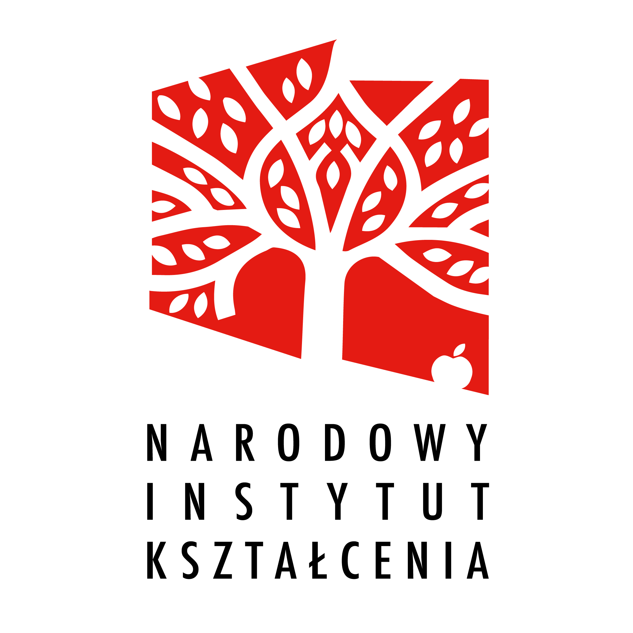 Logo NARODOWY INSTYTUT KSZTAŁCENIA