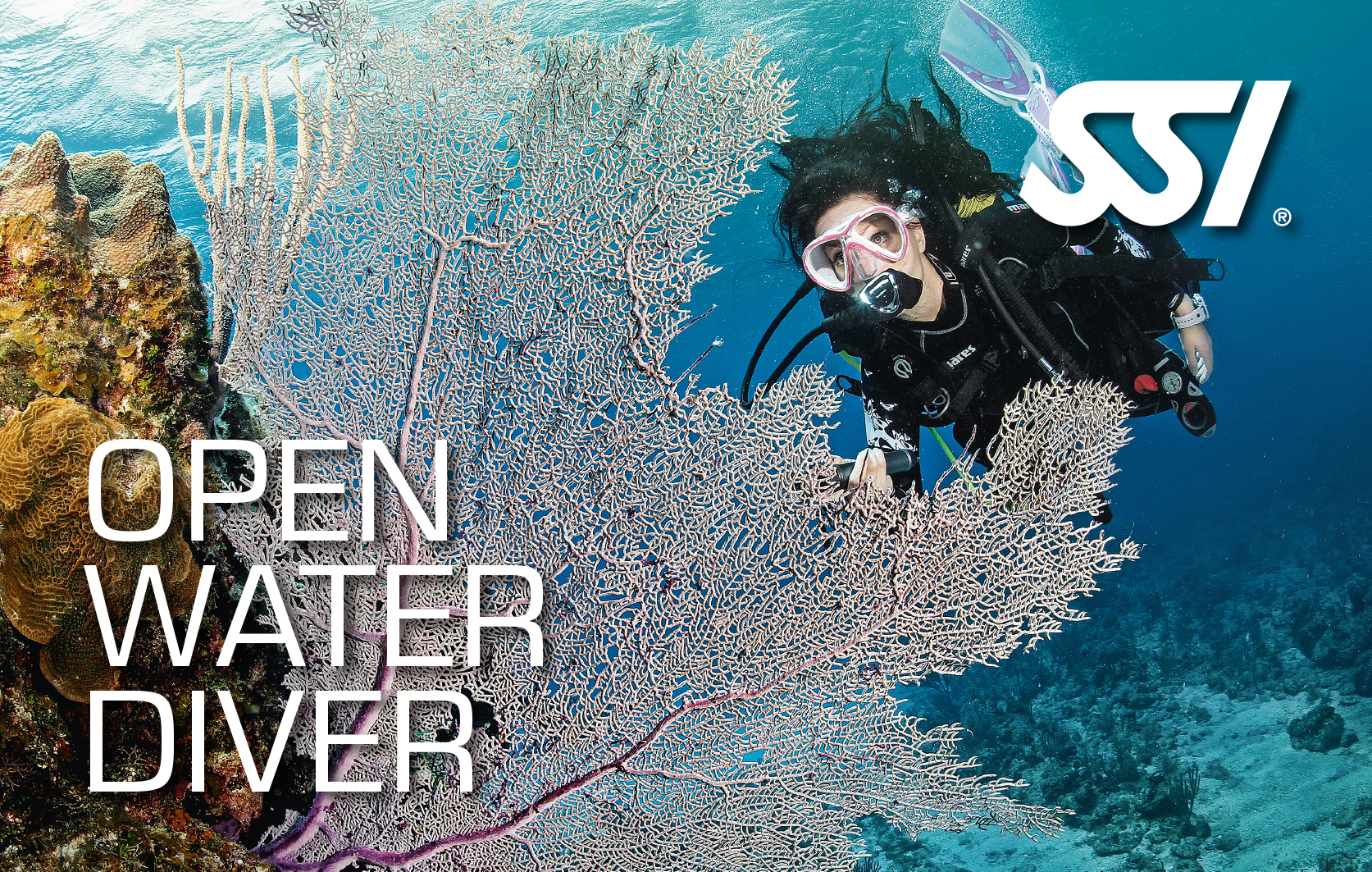 Open Water Diver.jpg