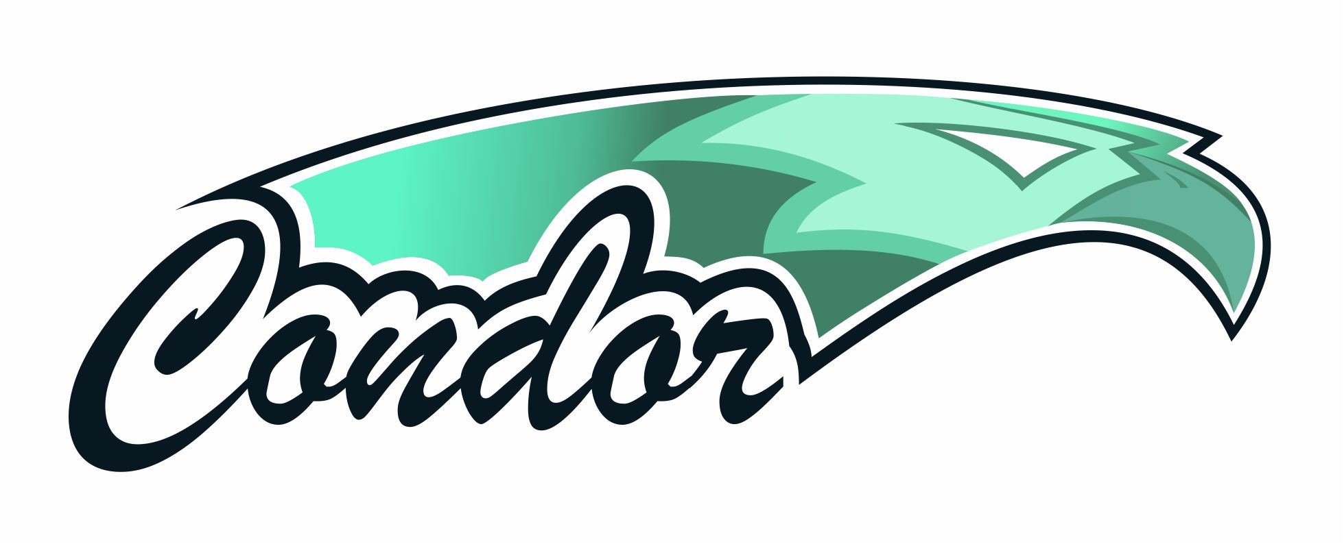 Logo Condor Szkolenia Mobilne Łukasz Polski