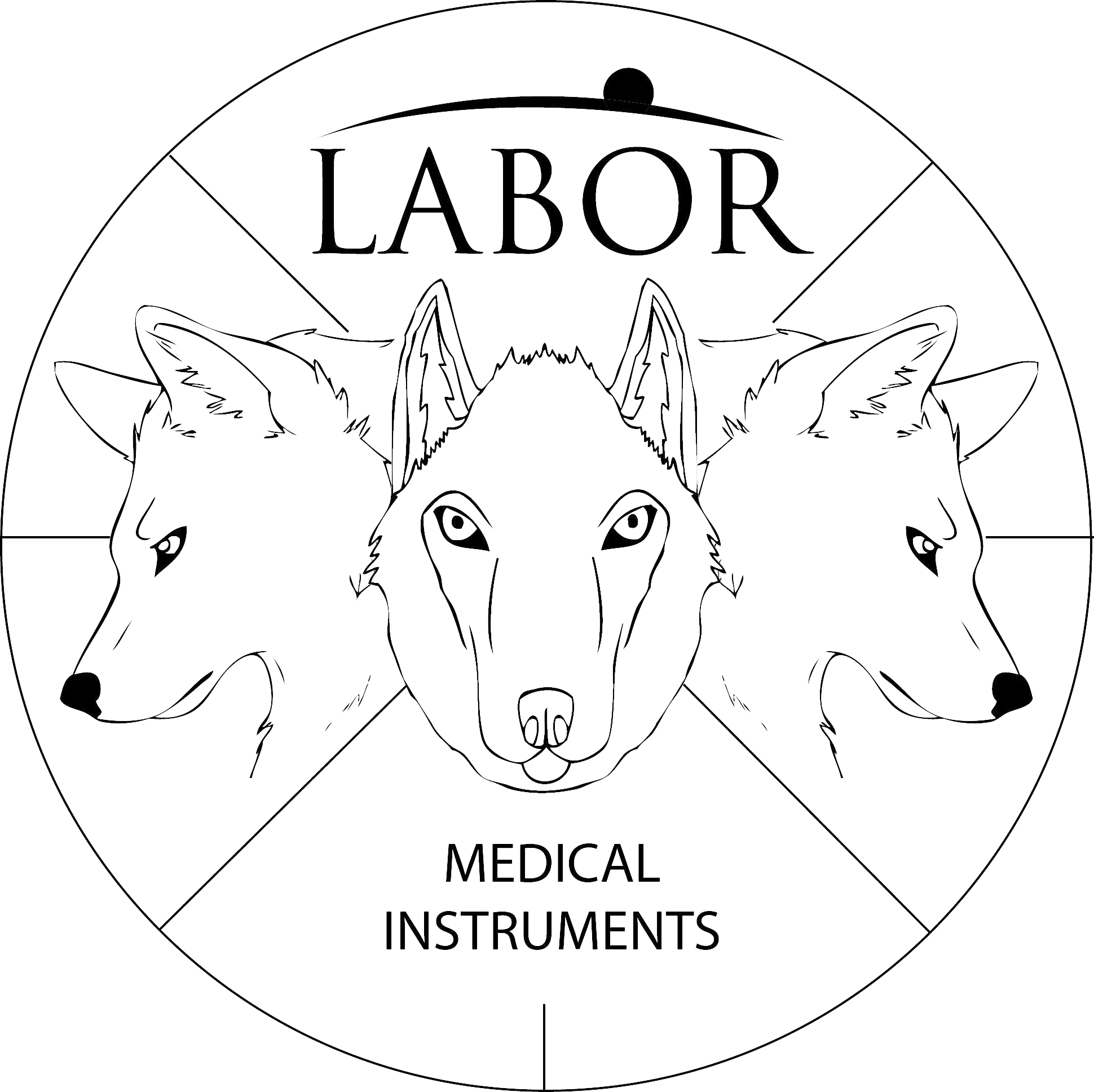 Logo LABOR MEDICAL TOMASZ BŁAŻKÓW