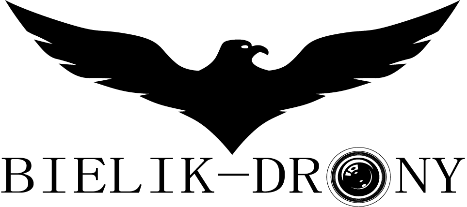 Logo Damian Rahman Bielik-Drony