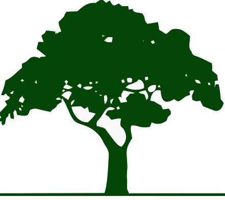 Logo Tomasz Dolny GREEN TREES