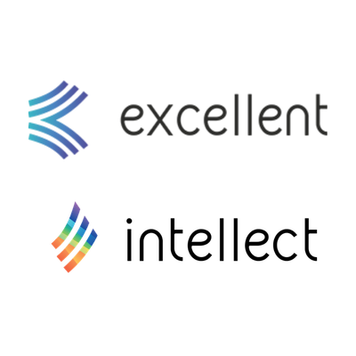 Logo Excellent Maciej Wienke