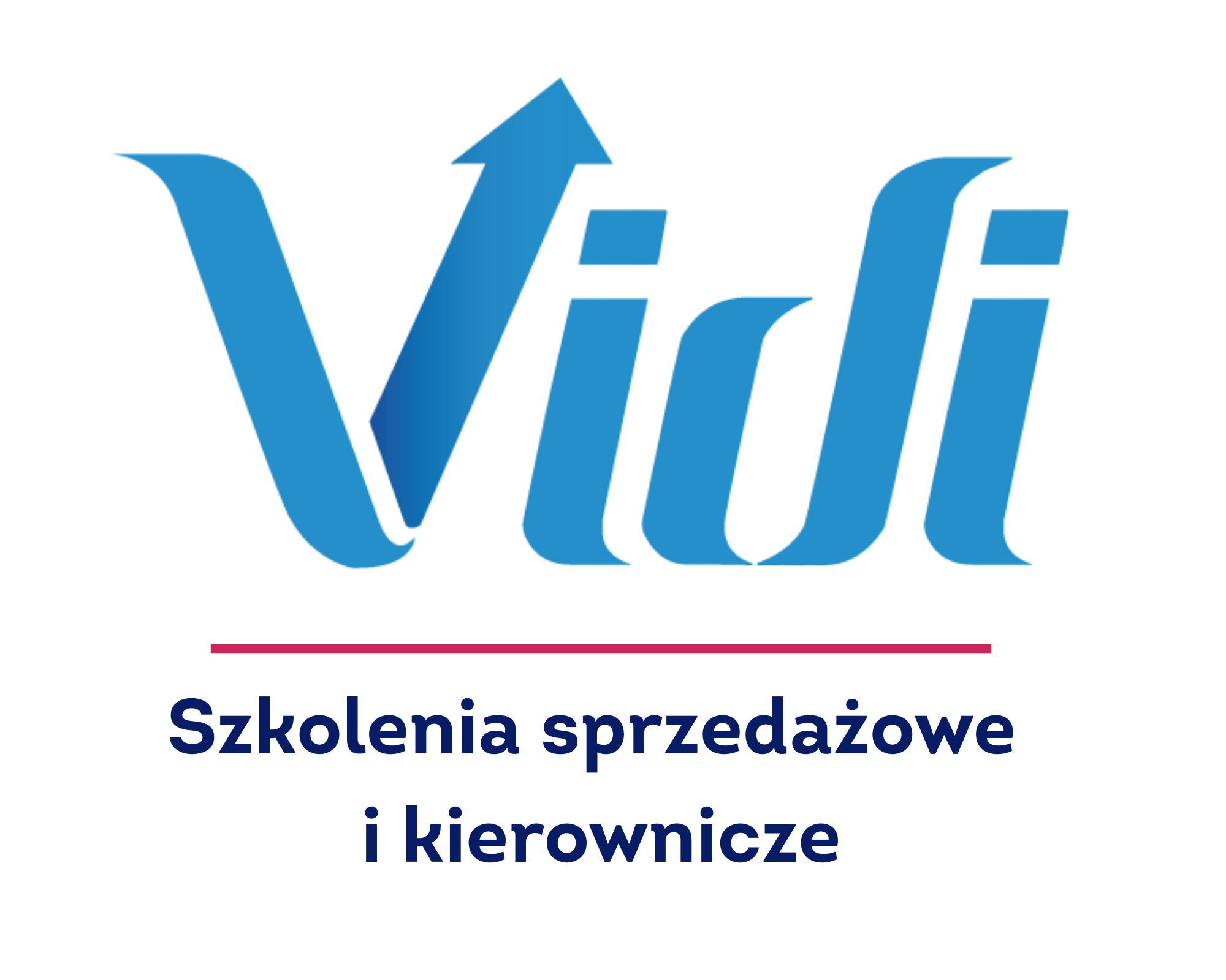 Logo VIDI GROUP SPÓŁKA Z OGRANICZONĄ ODPOWIEDZIALNOŚCIĄ