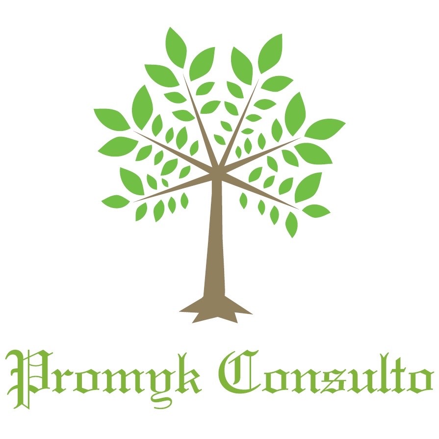 Logo Promyk Consulto Paweł Pogorzelski