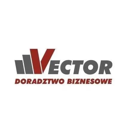Logo Karolina Stojek Vector Doradztwo Biznesowe