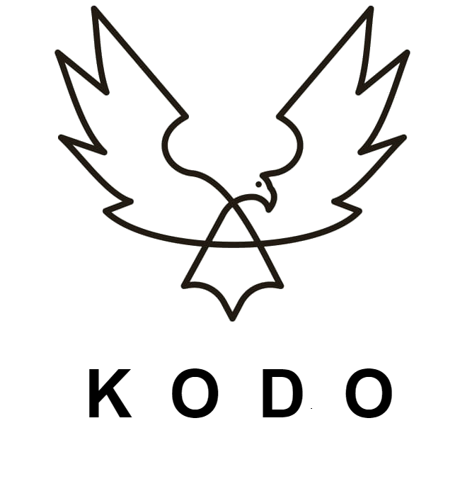 Logo KANCELARIA OCHRONY DANYCH OSOBOWYCH i BEZPIECZEŃSTWA PRACY DOROTA GROSS