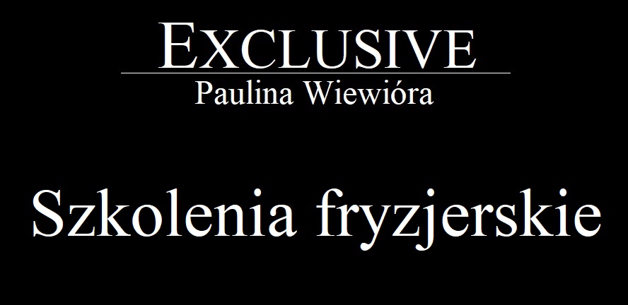 Logo EXCLUSIVE S.C. PAULINA WIEWIÓRA SEBASTIAN WIEWIÓRA