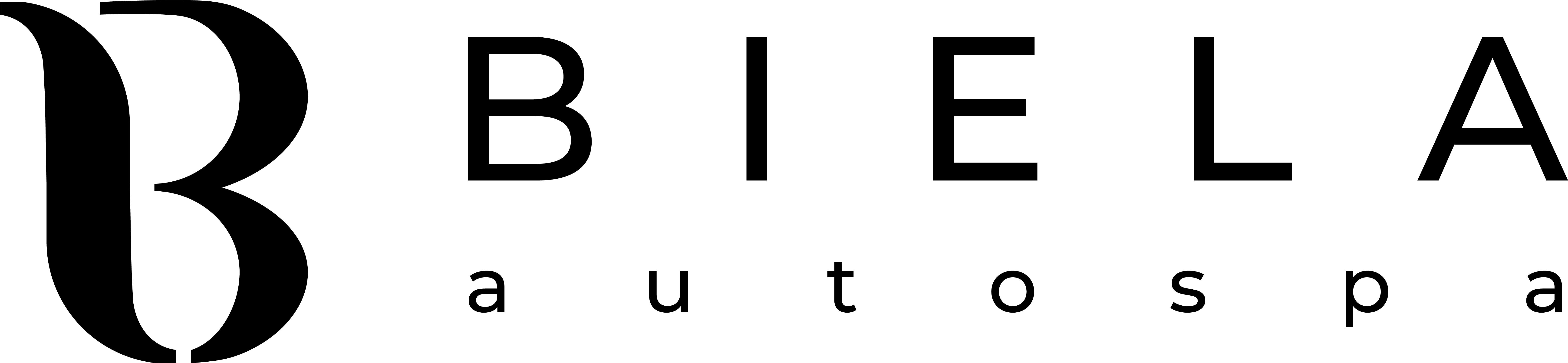 Logo AST Dariusz Biela