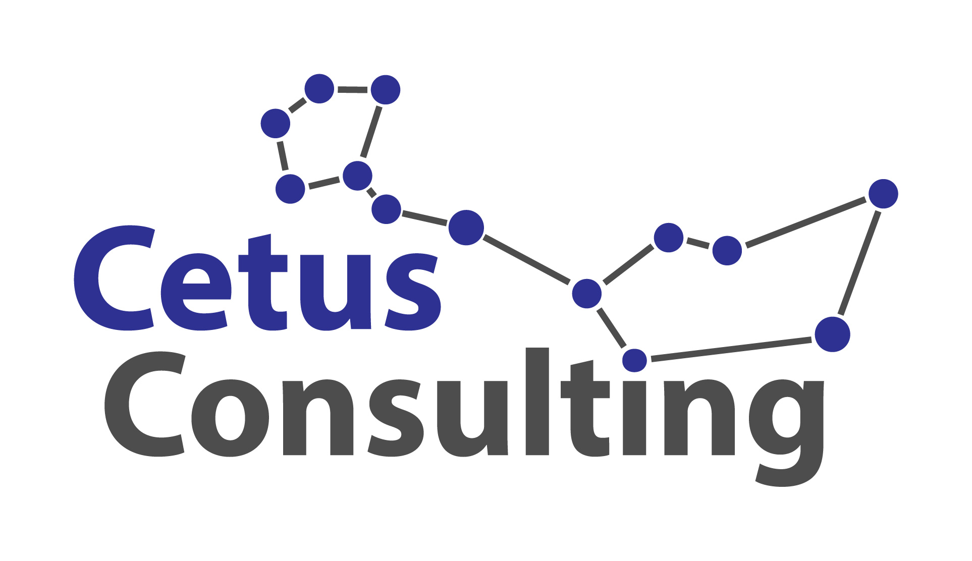 Logo CETUS CONSULTING JACEK CZARNOWSKI