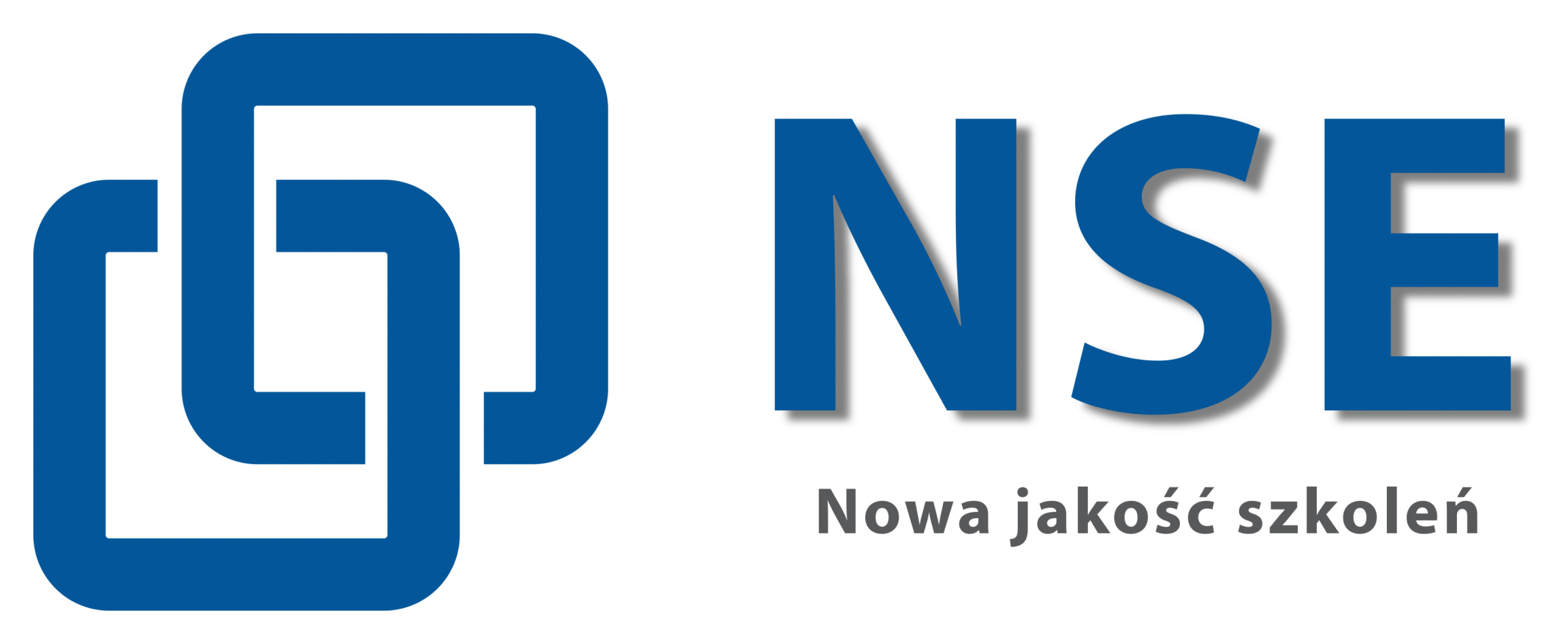 Logo NSE-Edu Anna Zelcer