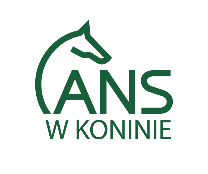 Logo Akademia Nauk Stosowanych w Koninie