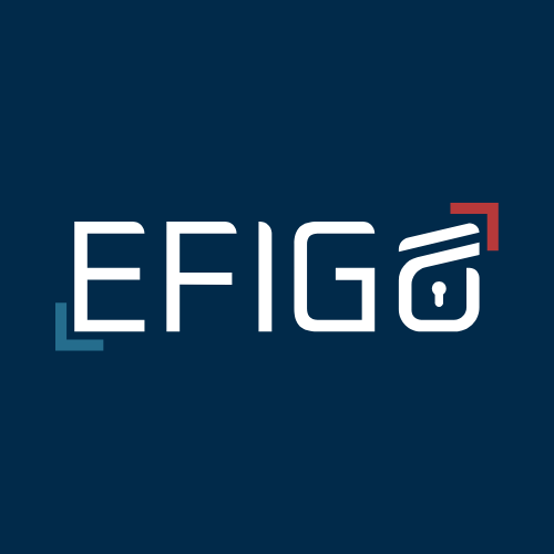 Logo EFIGO SPÓŁKA Z OGRANICZONĄ ODPOWIEDZIALNOŚCIĄ