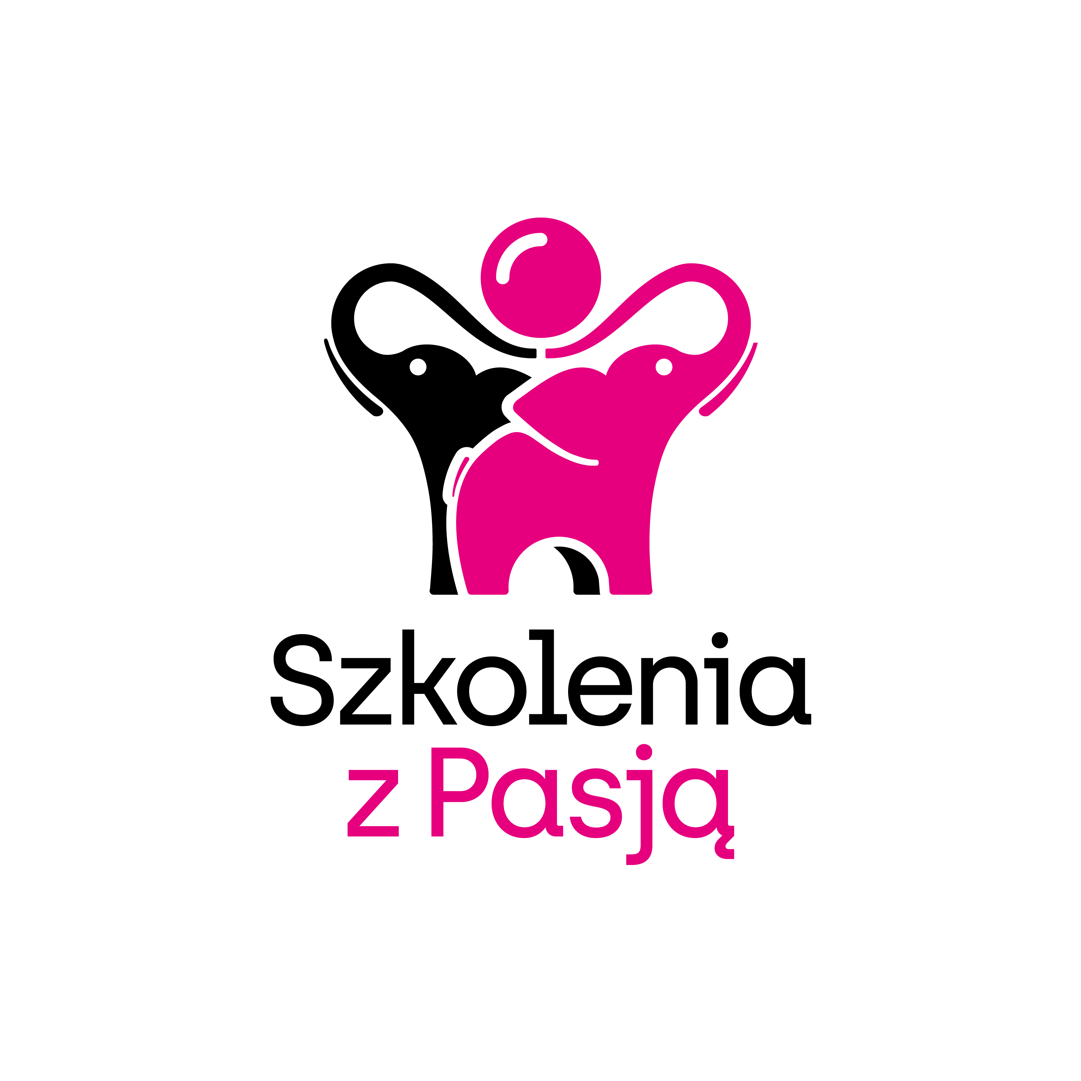 Logo Szkolenia z Pasją Bogumiła Hanert