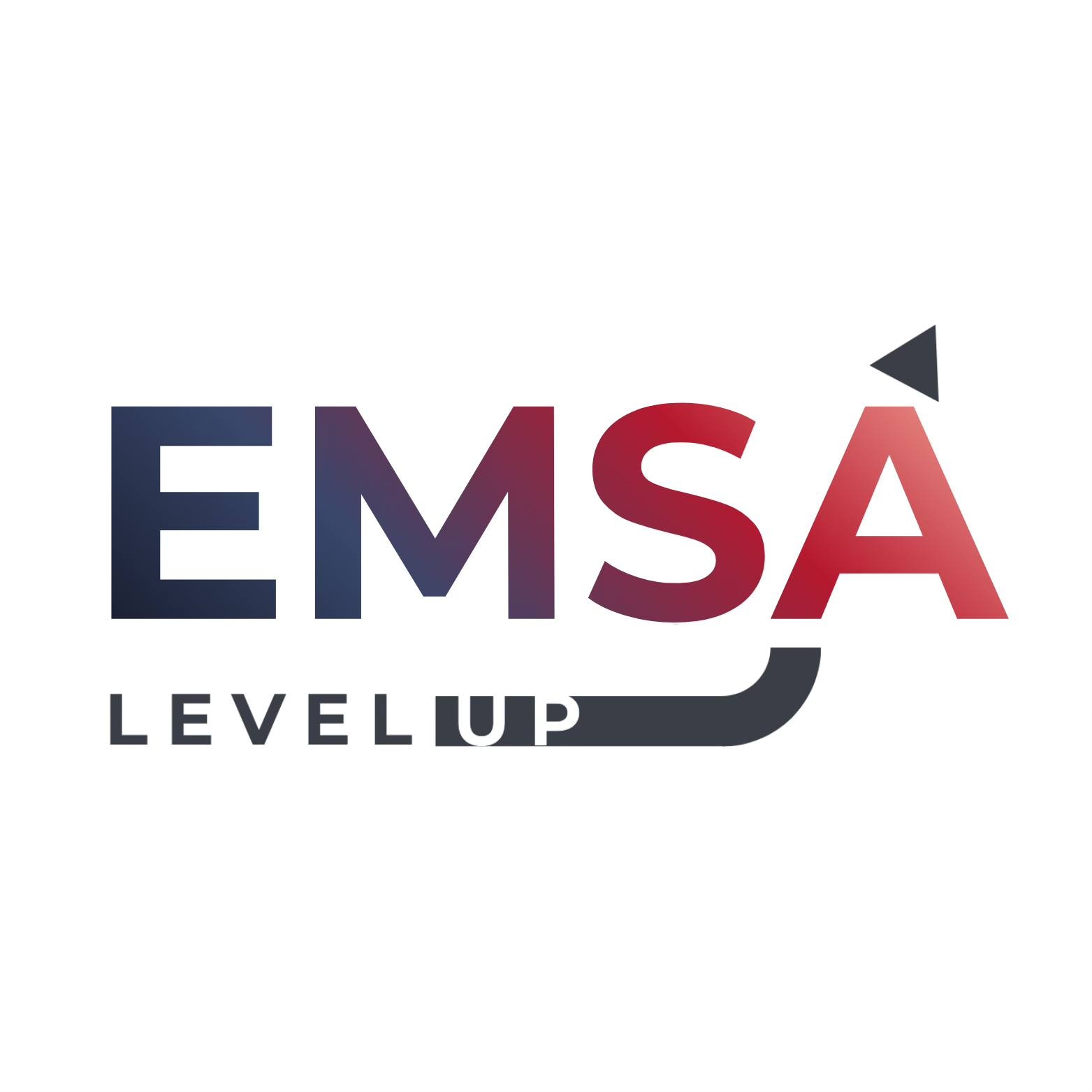 Logo EMSA Level Up Emilia Musiał