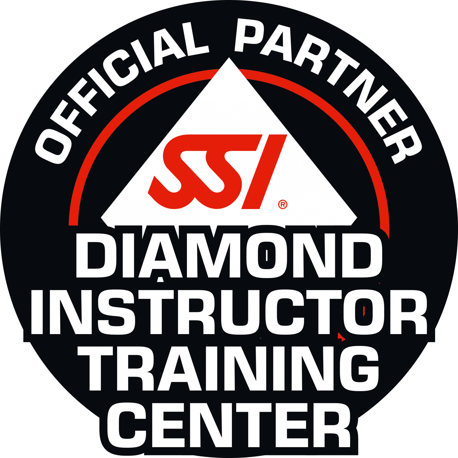 ssi_logo_diamond_inst_tr_center.png