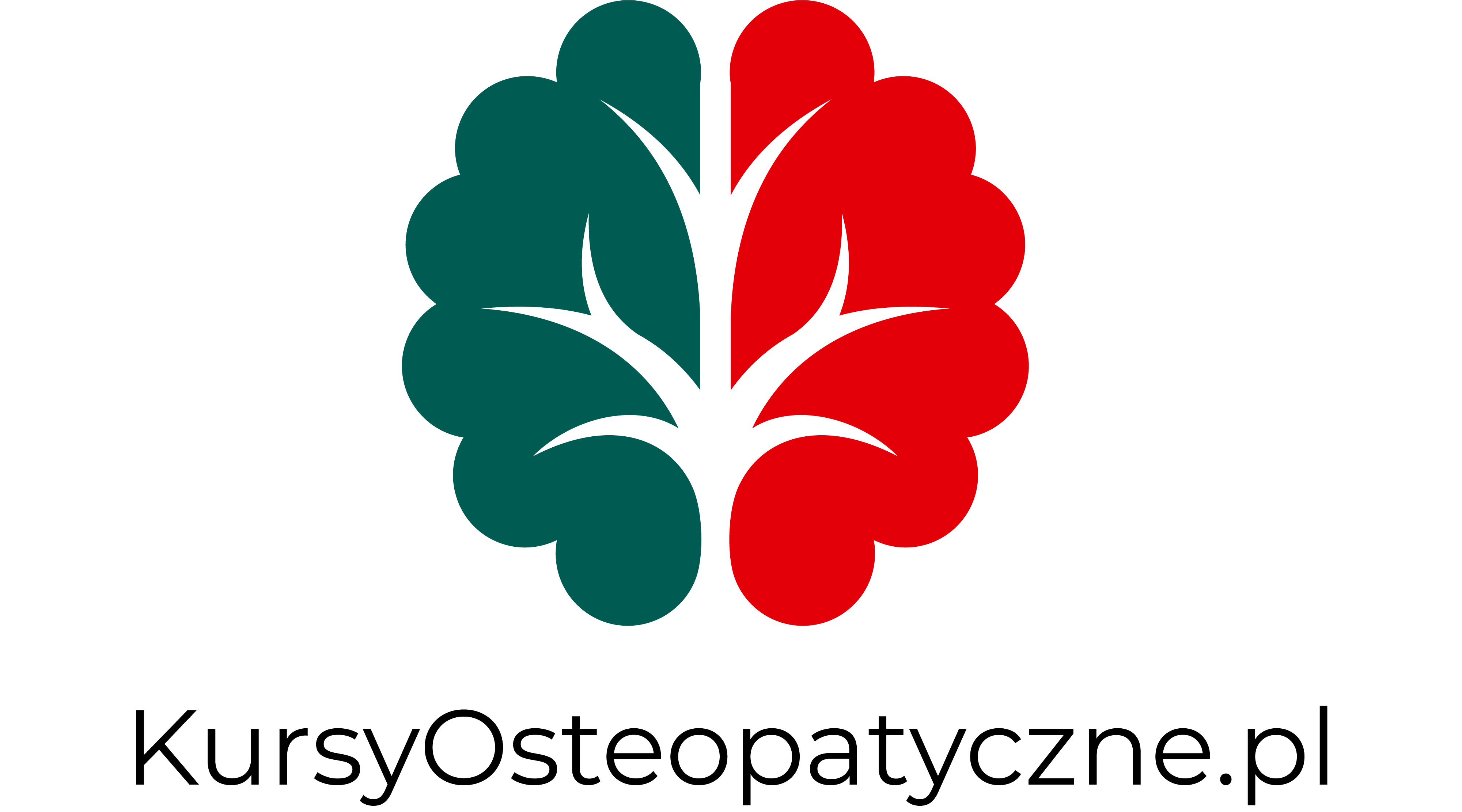 Logo CENTRUM LECZENIA I EDUKACJI MEDYCZNEJ TALAGA SPÓŁKA Z OGRANICZONĄ ODPOWIEDZIALNOŚCIĄ