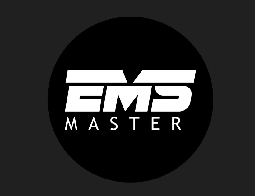 Logo EMS SYSTEM INTERNATIONAL SPÓŁKA Z OGRANICZONĄ ODPOWIEDZIALNOŚCIĄ