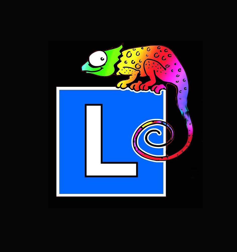 Logo F. U. H. KAMELEON - Ireneusz SZMIT