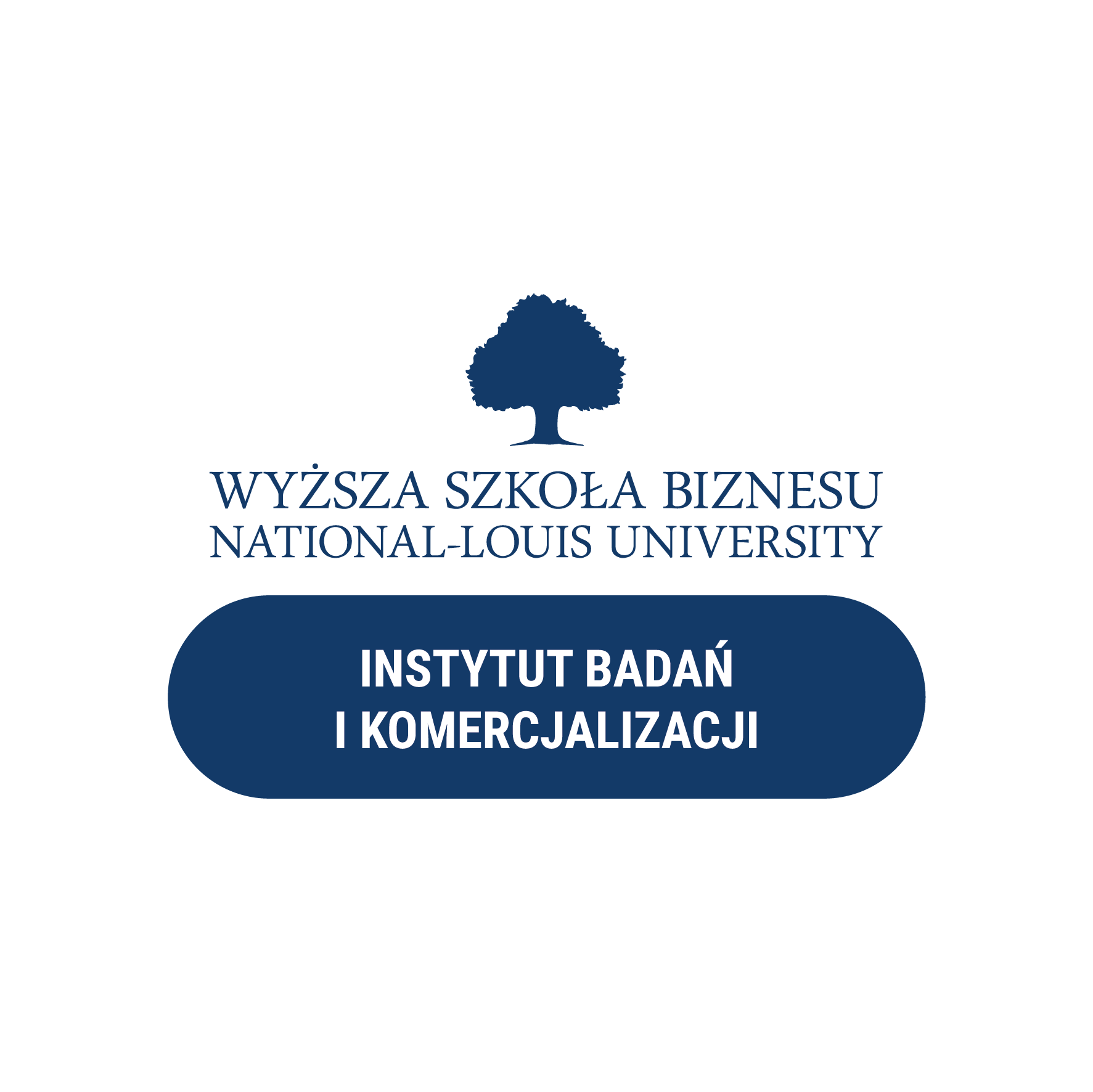 Logo Instytut Badań i Komercjalizacji WSB-NLU Sp. z o.o.