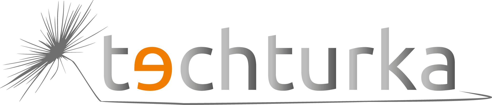 Logo IVETTA ROCZEK TECHTURKA