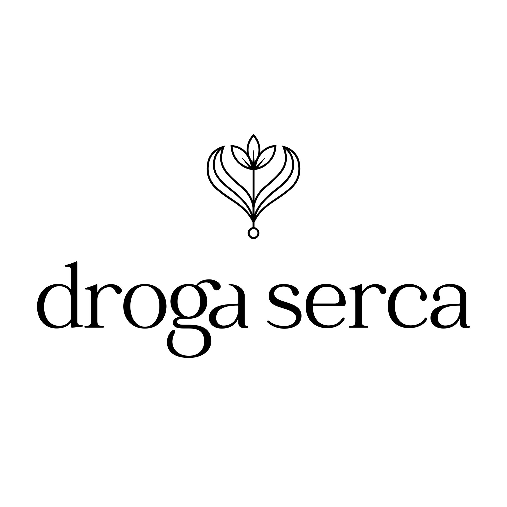 Logo ANNA WOJDAT DROGA SERCA