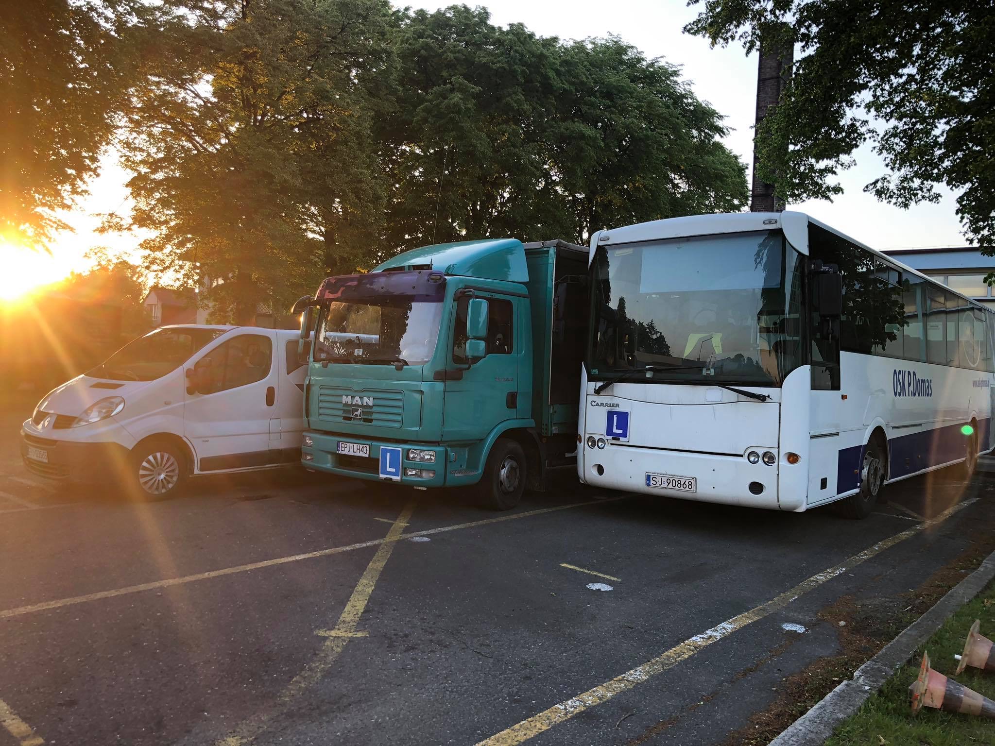 Logo Firma Handlowo Usługowa P.Domas - Przemysław Domas