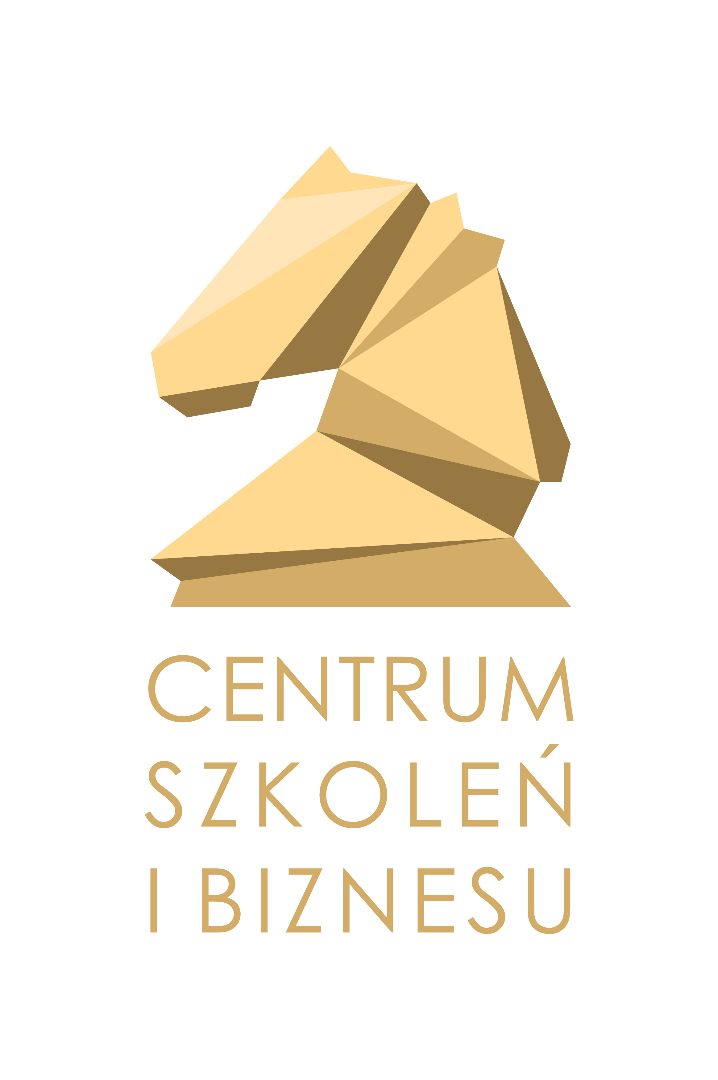 Logo Centrum Szkoleń i Biznesu Janina Szymańska