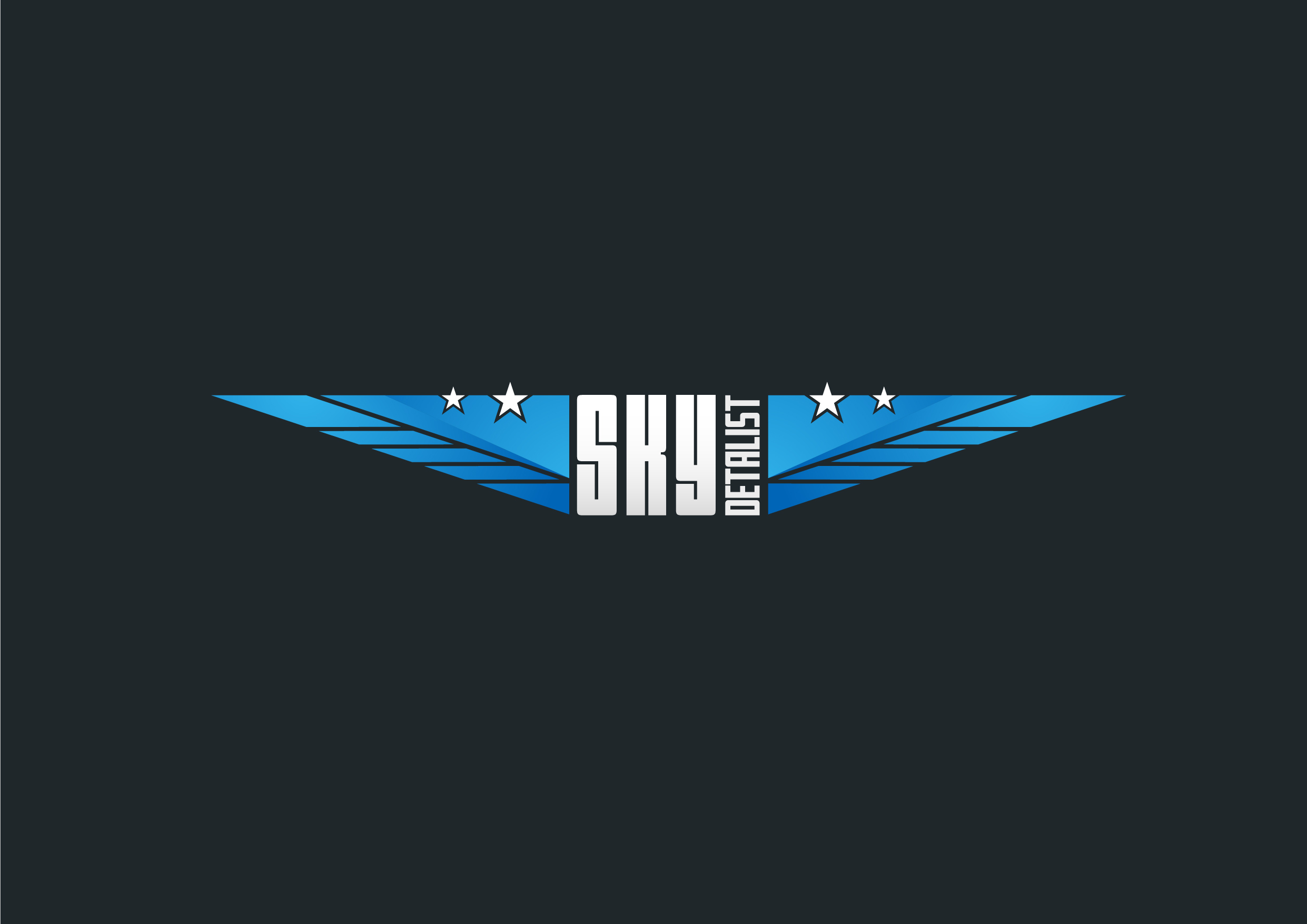 Logo SKY DETALIST SPÓŁKA Z OGRANICZONĄ ODPOWIEDZIALNOŚCIĄ