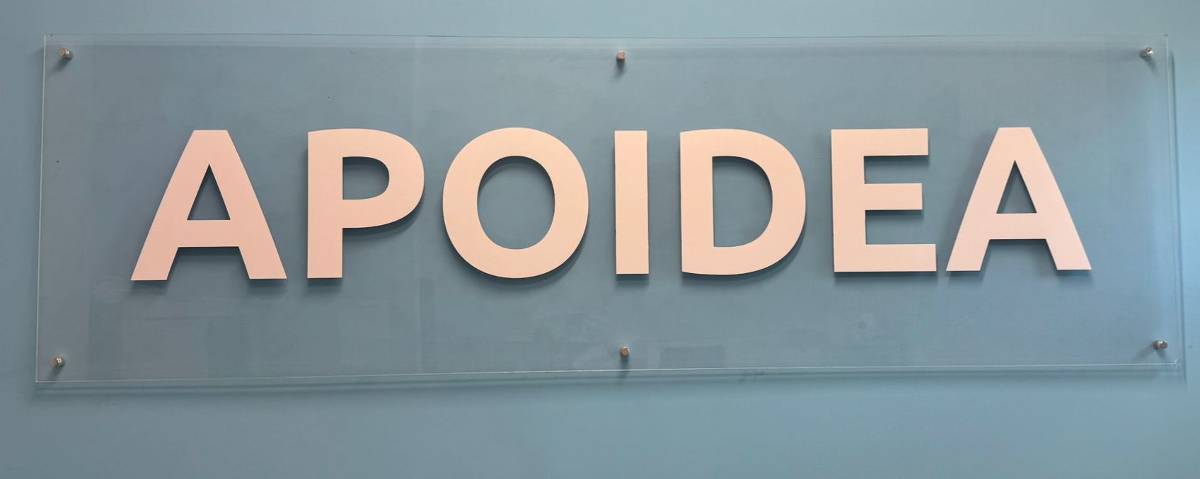 Logo FUNDACJA APOIDEA
