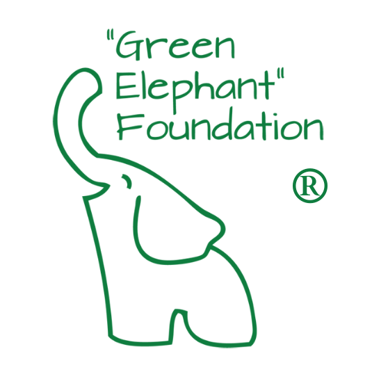 Logo FUNDACJA "ZIELONY SŁOŃ"