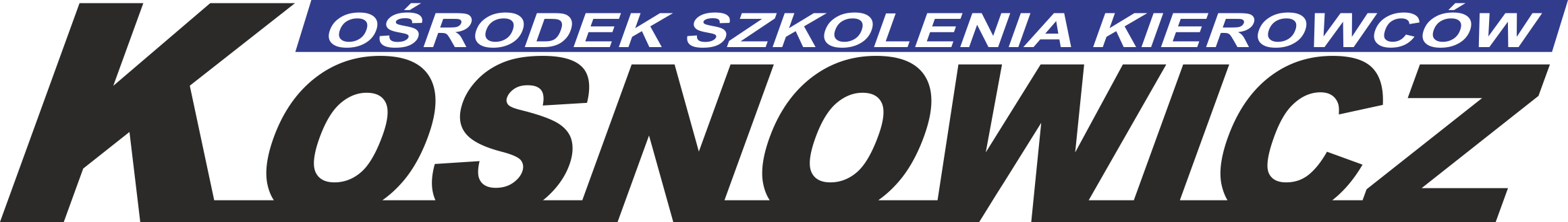 Logo DARIUSZ KOSNOWICZ OŚRODEK SZKOLENIA KIEROWCÓW